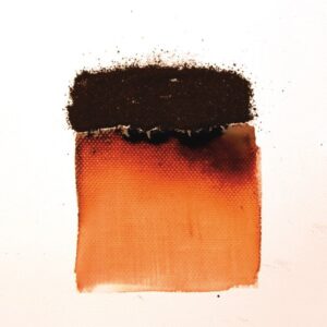 Πατίνα Ακαζού